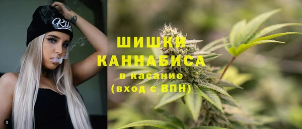 молекула духа Дмитров