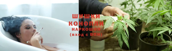 молекула духа Дмитров