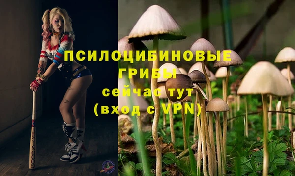 мяу мяу мука Дмитровск