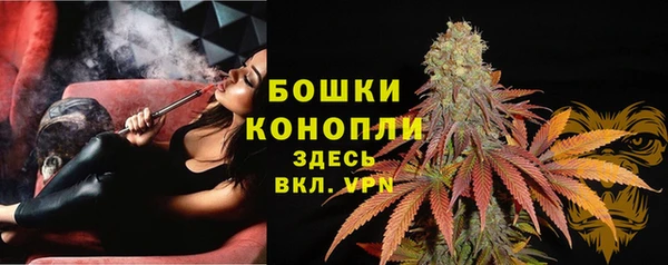 молекула духа Дмитров