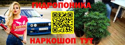 ПСИЛОЦИБИНОВЫЕ ГРИБЫ Гай