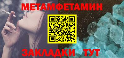 прущие грибы Гатчина