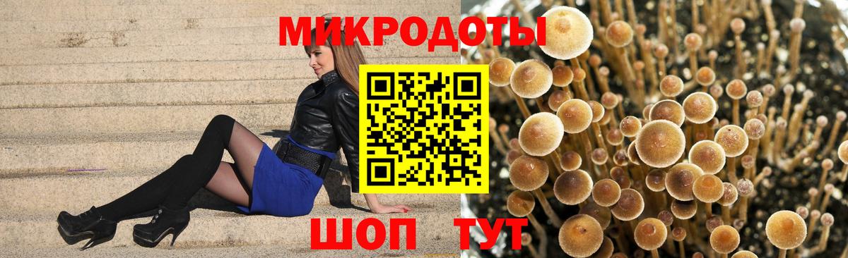 Галлюциногенные грибы прущие грибы Донской