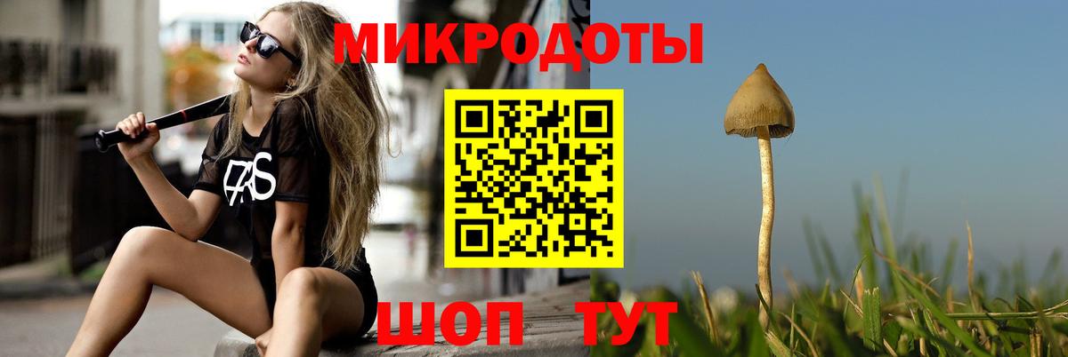 Донской  Галлюциногенные грибы прущие грибы  что такое наркотик  Вход с VPN 